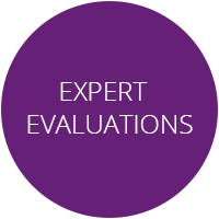 process 0004 expert evaluations